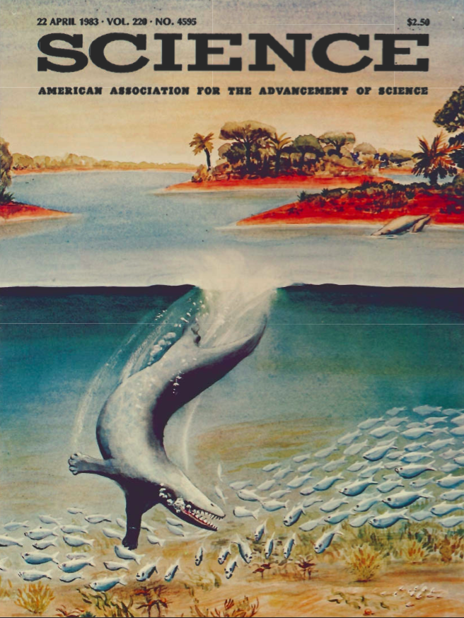 Pakicetus, uma baleia com pernas?